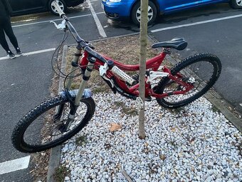 Specialized Big Hit I custom vel. L - 3