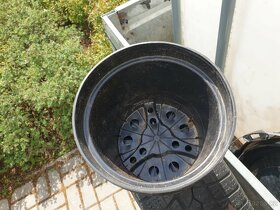 Plastové květináče na sazenice - 3