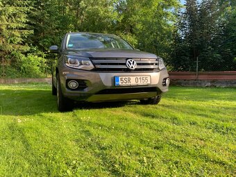 tiguan - 3