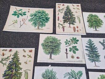 Stare skolni plakaty 50/60 leta - 3