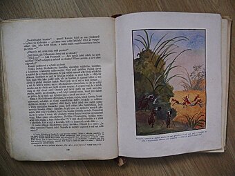 Stará kniha z roku 1929 - 3