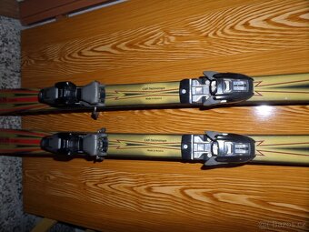 Lyže Pale - 3