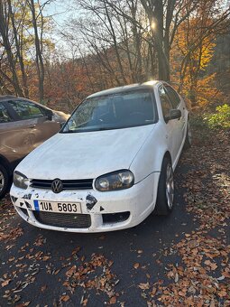 Prodám boru - 3