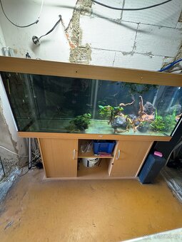 Akvárium Juwel 450l - 3