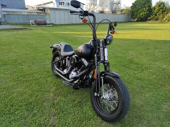 HARLEY DAVIDSON FLSTSB cross bones springer - 3