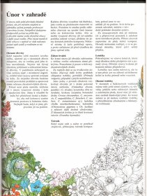 Kniha ZIMA V ZAHRADĚ - 3