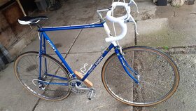 Giant Peleton Lite rv kolem 79 - 3