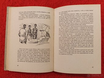 V ŘÍŠI KROKODILŮ A VOLAVEK - Georg Strack - 3