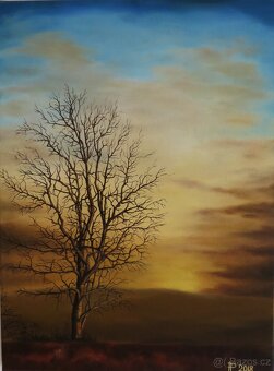 Ručně malovaný obraz – Stromy - 3