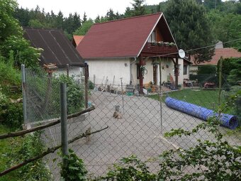 Hlídání psů - ubytování v psím hotelu AX - 3