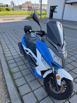 KENTOYA MAXIMUS 125ccm - 3