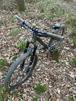 custom CTM dirtking - 3