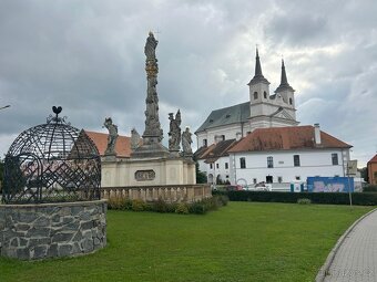 Prodej stavební pozemek, 815 m2, Drnholec, okr. Břeclav - 3