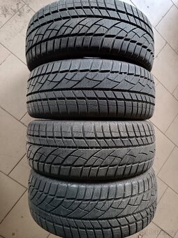 Zimní pneu 205/50R17 Evergreen Winter EW66 - 3