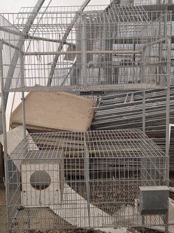 Kotce pro kraliky - 3