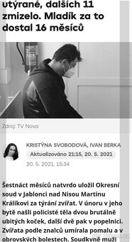kočka Pardubice - 3