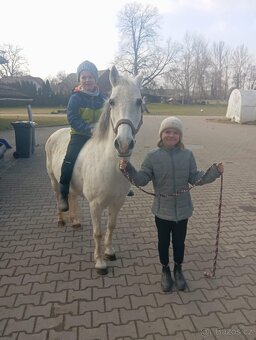 Pony kat.S - 3