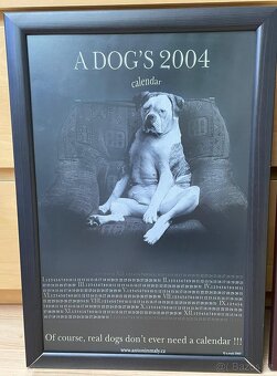 Foto Obrazy Antonín Malý s motivy psů 3 ks - 3