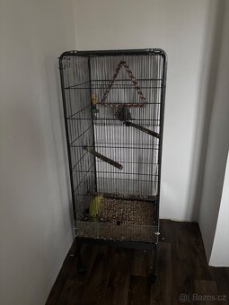 Alexandr malý i s klecí - 3