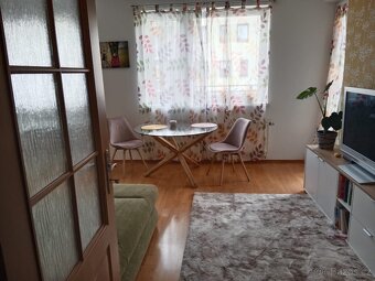 Pronajmu byt 2kk v Plzni - 3