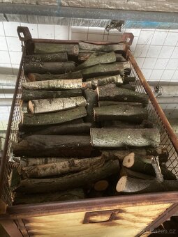 Palivové dřevo - 3