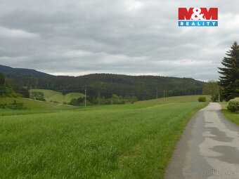 Prodej lesa, 26000 m², Vysoká Srbská, okres Náchod - 3