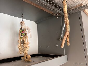 Klec pro ptactvo - 3