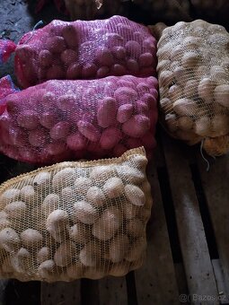 Brambory česnek cibule - 3