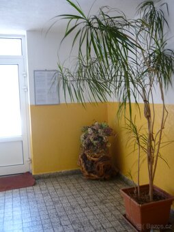 Byt 3+1, rozhraní Ústí centrum - Stříbrníky - 3