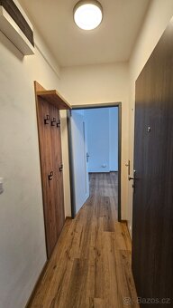 Garsoniéra v Kraslicích - 3