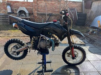 Pitbike Pitsterpro LXR 160 ccm - 3