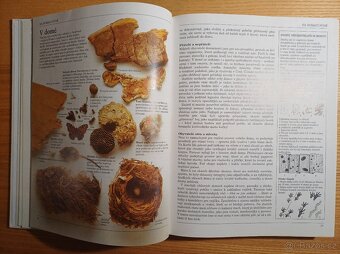 Amatérský přírodovědec, Gerald a Lee Durrell, jako nová - 3
