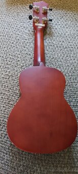 Sopránové ukulele Eddy Finn - 3