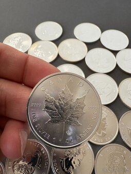 stříbrná mince 1 Oz Maple Leaf - 2014 Kanada - 3
