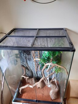 Terárium pro chameleona Exorerra - 3