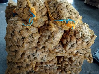 brambory na uskladnění adéla - 3
