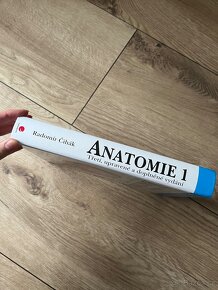 Anatomie 1. díl - 3