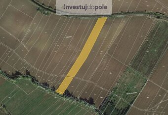 Prodej pole v k.ú. Mutějovice - 3
