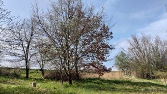 Prodej relaxačního pozemku - Chyňava - Dědkův mlýn - 3