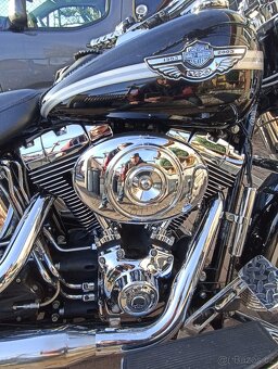 Harley Davidson-Výroční model 100 let - 3