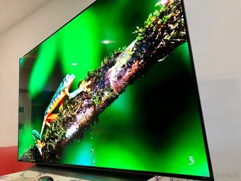 LG OLED 55 BX - 3