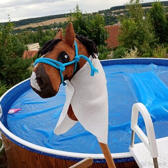 Hobby horse - 3