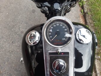 HARLEY DAVIDSON SOFTAIL STANDARD - 3