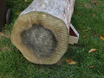 Dřevo na topení - 3