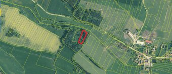 Prodej lesa Kváskovice - 3