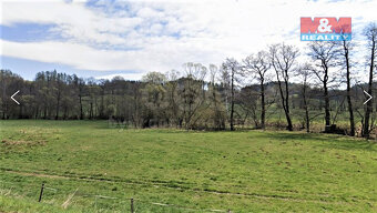 Prodej louky, 1900 m², Bernartice-Křenov u Žacléře - 3