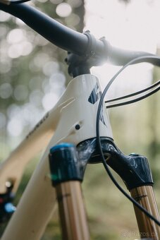 Specialized Stumpjumper EVO Pro T-Type - 3