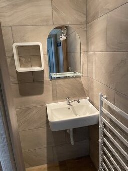 Pronájem bytu 1+1, 52 m2, Ves Touškov u Stodu Byt je pro max - 3