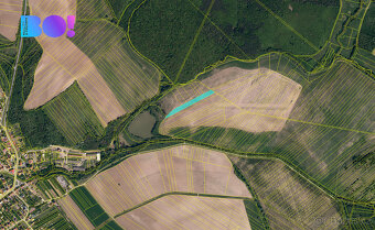 Prodej pole, 9711 m², Pašovice na Moravě - 3
