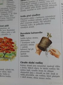 Kniha... - 3